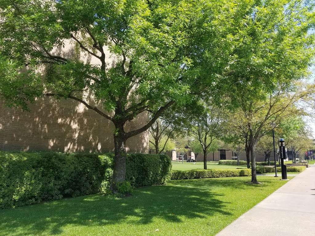 University of St. Thomas | 3800 Montrose Blvd, Houston, TX 77006, USA | Phone: (713) 522-7911