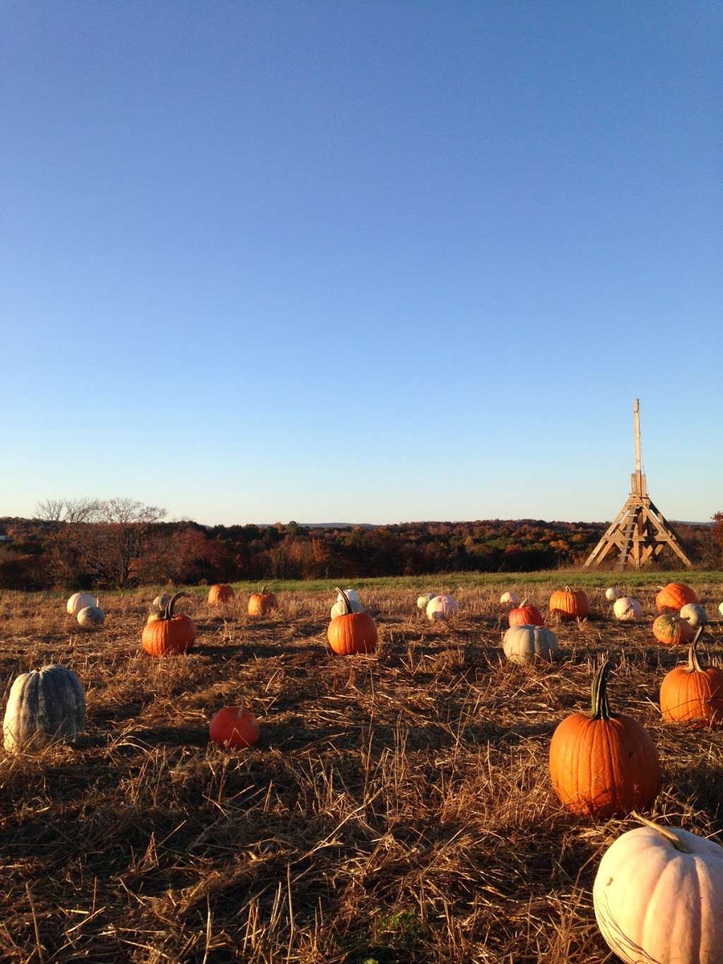 Lentinis Produce | Fredon Township, NJ 07860