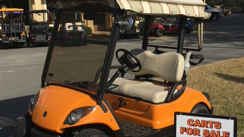 Crazy Gatorland Carts Golf Cart Rentals, Service/Sales | 15295 S, US-441, Summerfield, FL 34491, USA | Phone: (352) 200-5068