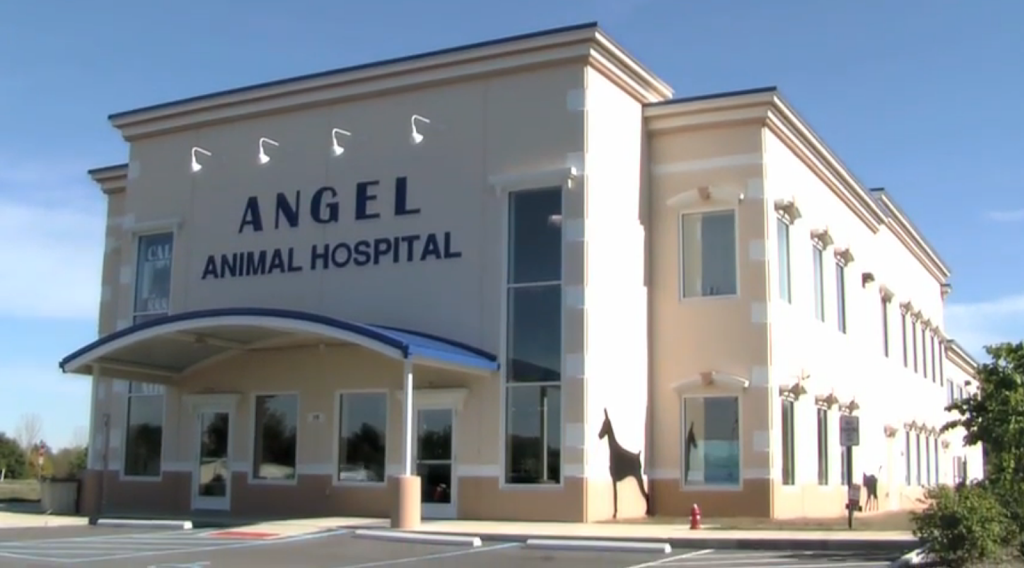 Angel Animal Hospital | 110 N Bluff Rd, Greenwood, IN 46142, USA | Phone: (317) 888-6435