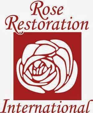 Rose Restoration | 22620 Watson Rd, Leesburg, VA 20175, USA | Phone: (703) 327-7676