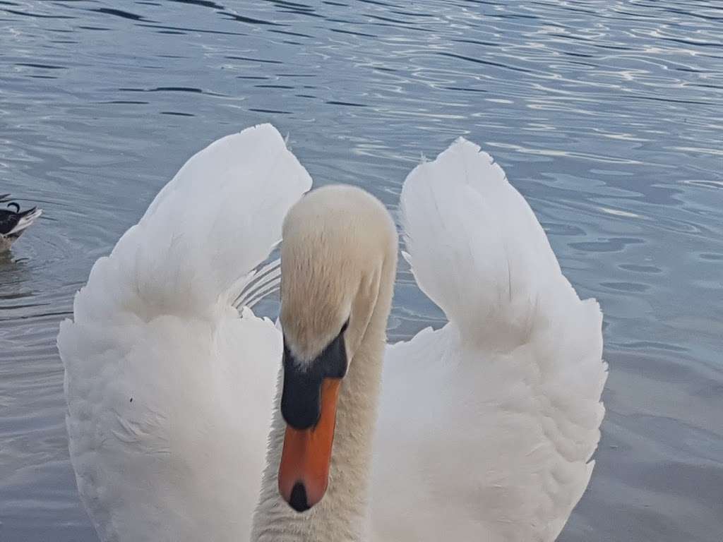 Barden Lake | Tonbridge TN9 1XU, UK