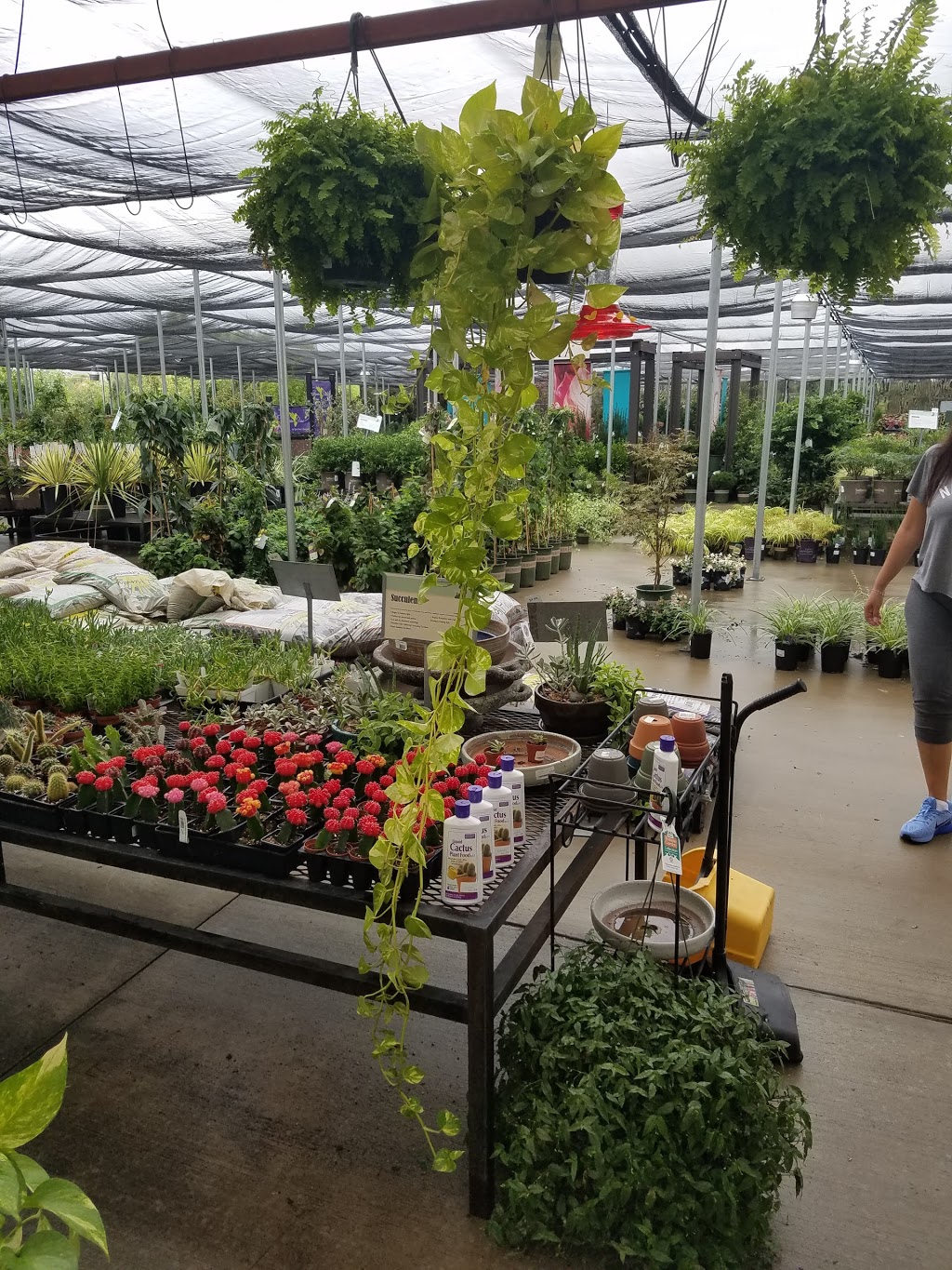 Calloways Nursery | 1801 FM 423, Little Elm, TX 75068 | Phone: (214) 436-8973