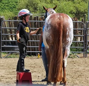 Rafter L Stables/ Lisa Laplace | 5945 Haire Ln, Napa, CA 94559 | Phone: (707) 363-7156