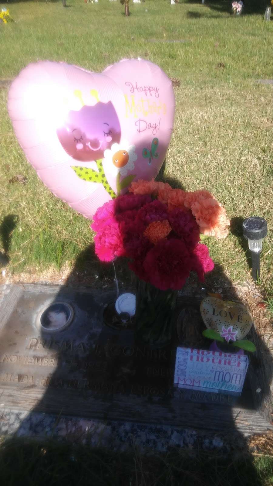 Davis Memorial Park | S Eastern Ave, Las Vegas, NV 89119, USA