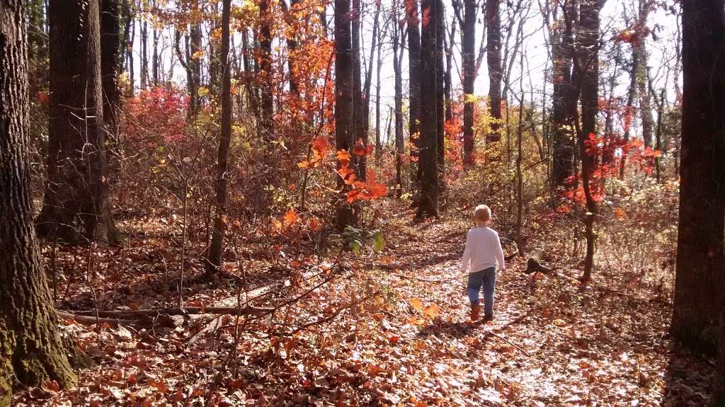 Stanton Park | Herndon, VA 20170, USA