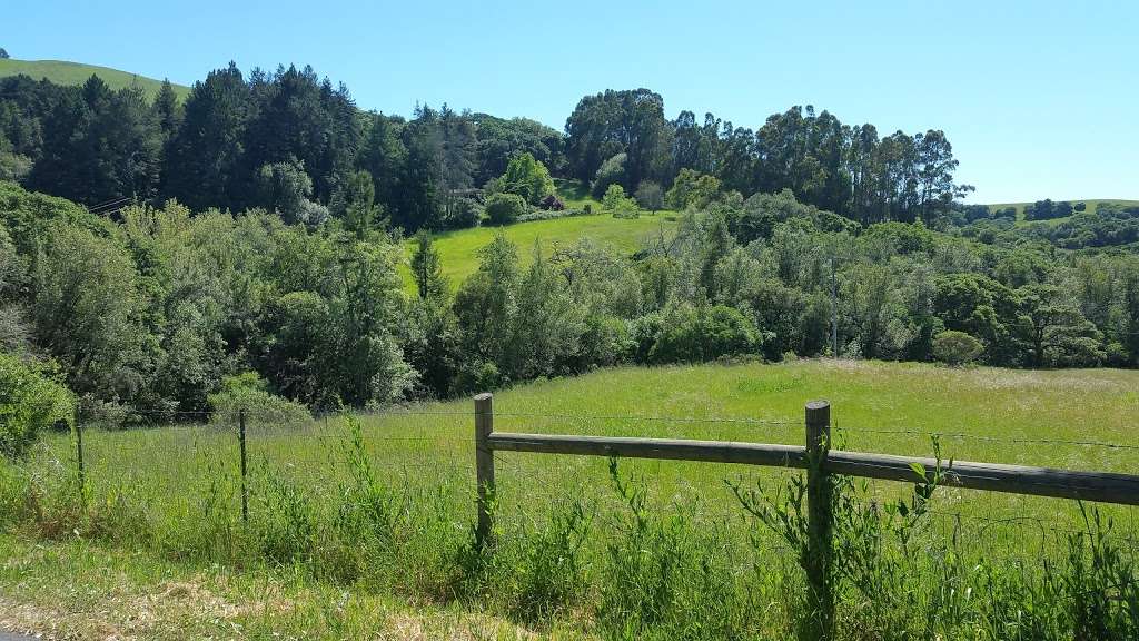 North Slope Park, Sonoma Mt. | 5301 Sonoma Mountain Rd, Santa Rosa, CA 95404, USA