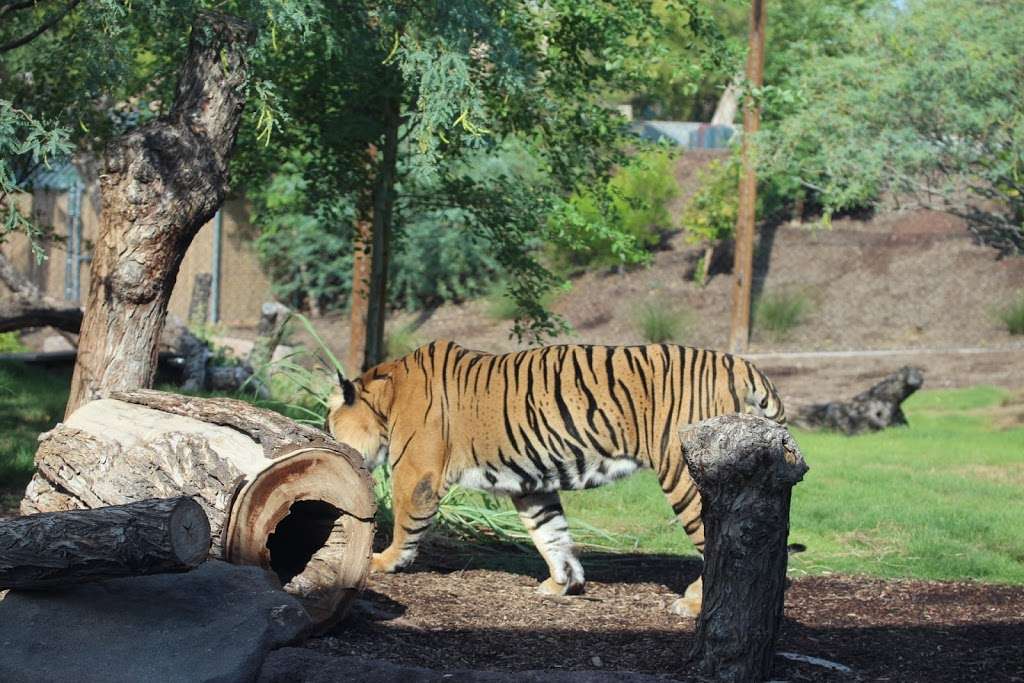 The Phoenix Zoo | Phoenix, AZ 85008, USA