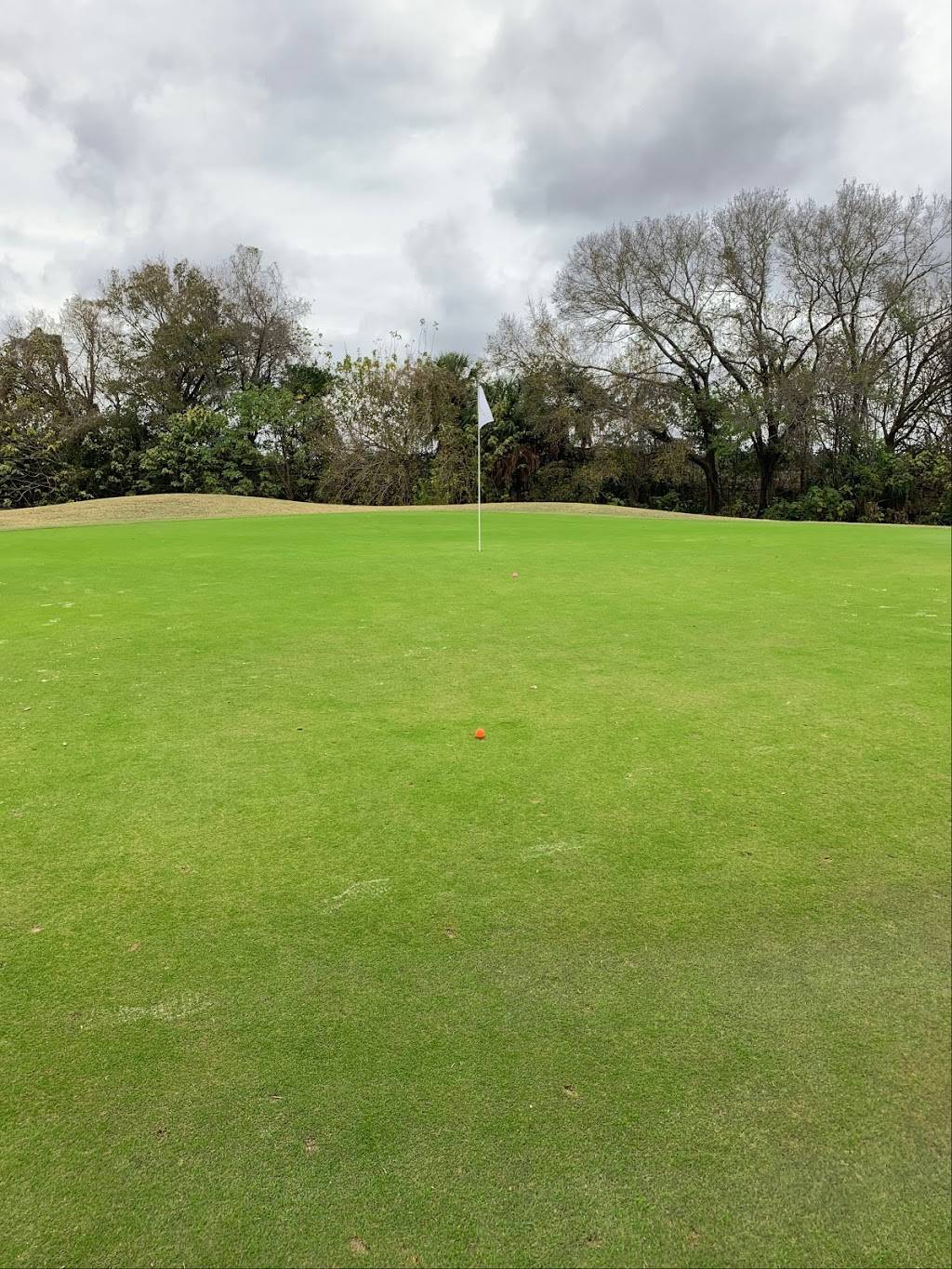 Rogers Park Golf Course | 7910 N 30th St, Tampa, FL 33610, USA | Phone: (813) 356-1671