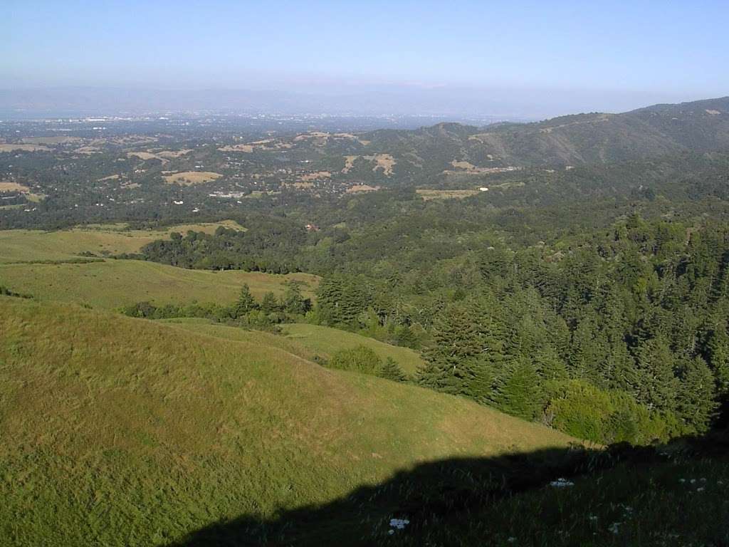 Windy Hill | Hamms Gulch Trail, Portola Valley, CA 94028, USA