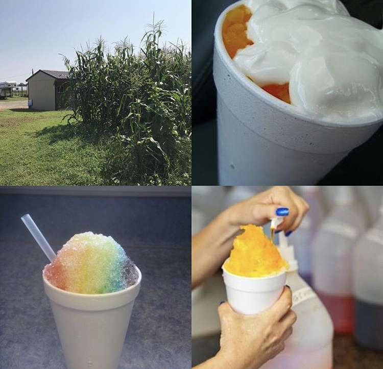 Shore Good Snowballs | 1136 Dudley Corner Rd, Millington, MD 21651, USA | Phone: (410) 231-9001