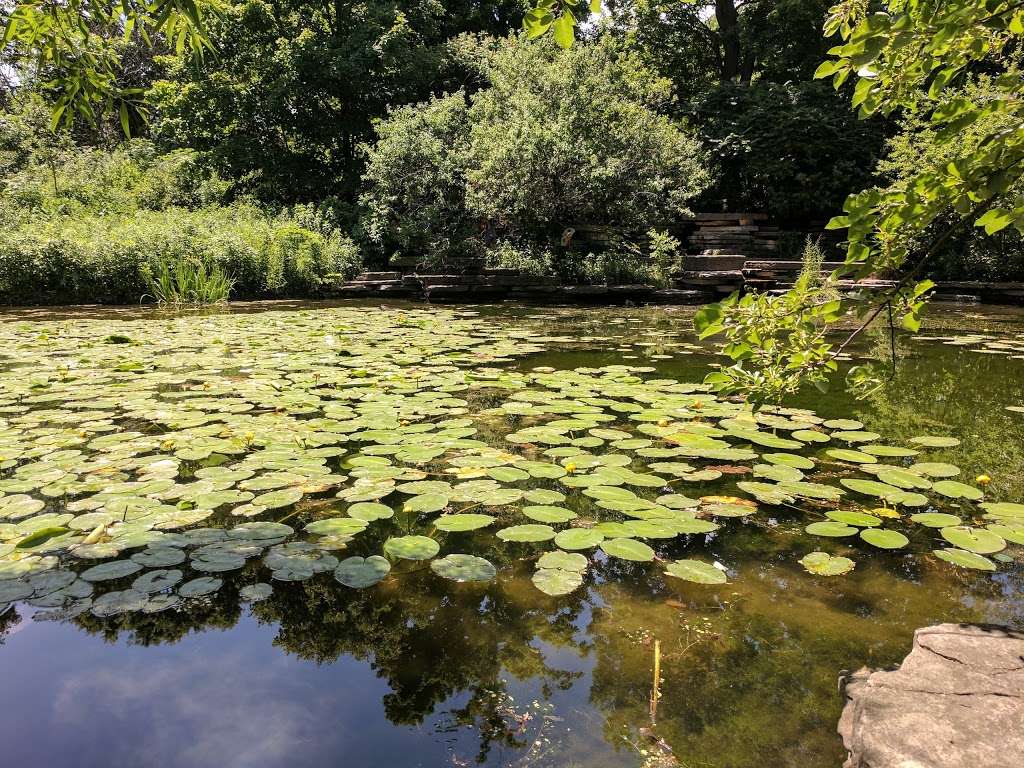 Alfred Caldwell Lily Pool | 125 W Fullerton Pkwy, Chicago, IL 60614, USA | Phone: (773) 883-7275