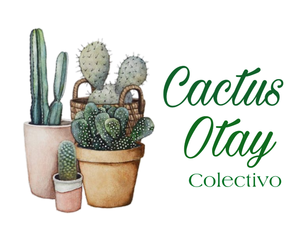 Cactus Otay Colectivo | Local c9, Aeropuerto 1900, C.Comercial Otay, Nueva Tijuana, 22425 Tijuana, B.C., Mexico | Phone: 664 683 8785