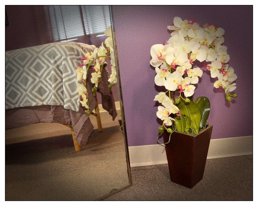 Embody Balance Yoga & Massage | 1R Newbury St suite 301, Peabody, MA 01960, USA | Phone: (978) 801-1008