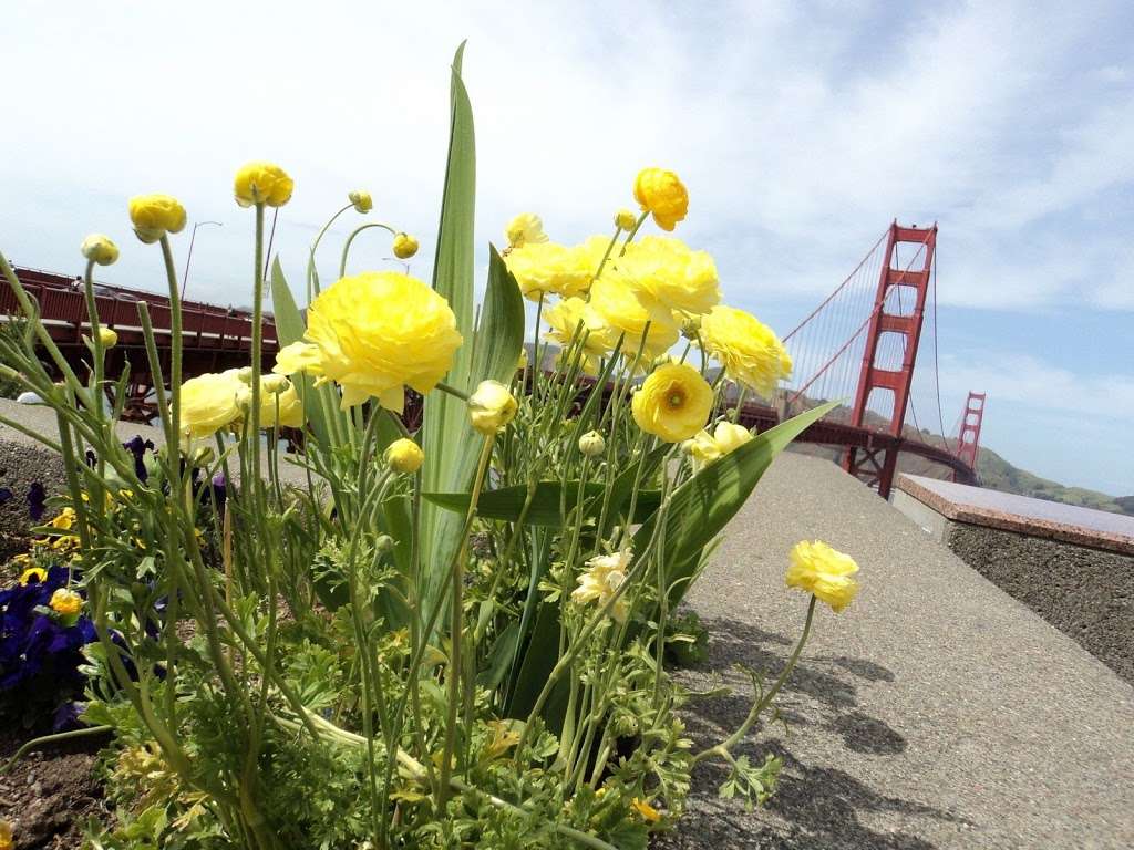 Golden Gate Bridge/Toll Plaza | San Francisco, CA 94129, USA