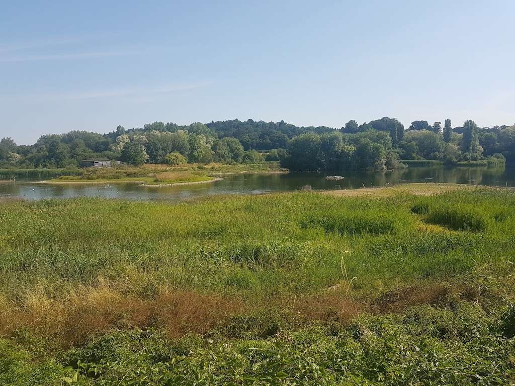 Amwell Quarry Nature Reserve | Ware SG12, UK