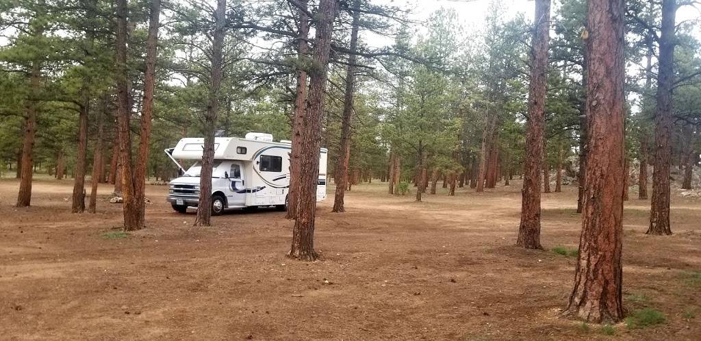 Badger Flats Campsite | Forest Rd 224, Lake George, CO 80827, USA