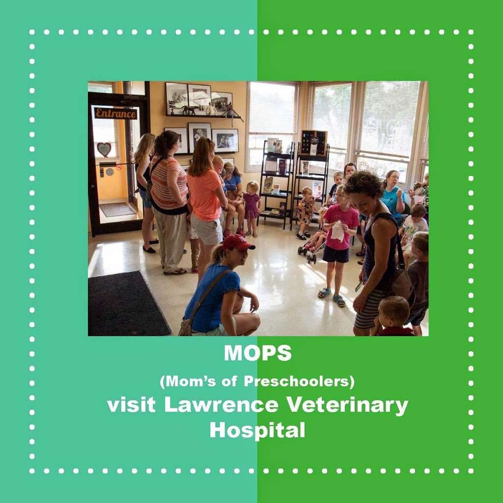Lawrence Veterinary Hospital | 3210 Clinton Pkwy Ct, Lawrence, KS 66047, USA | Phone: (785) 841-9956