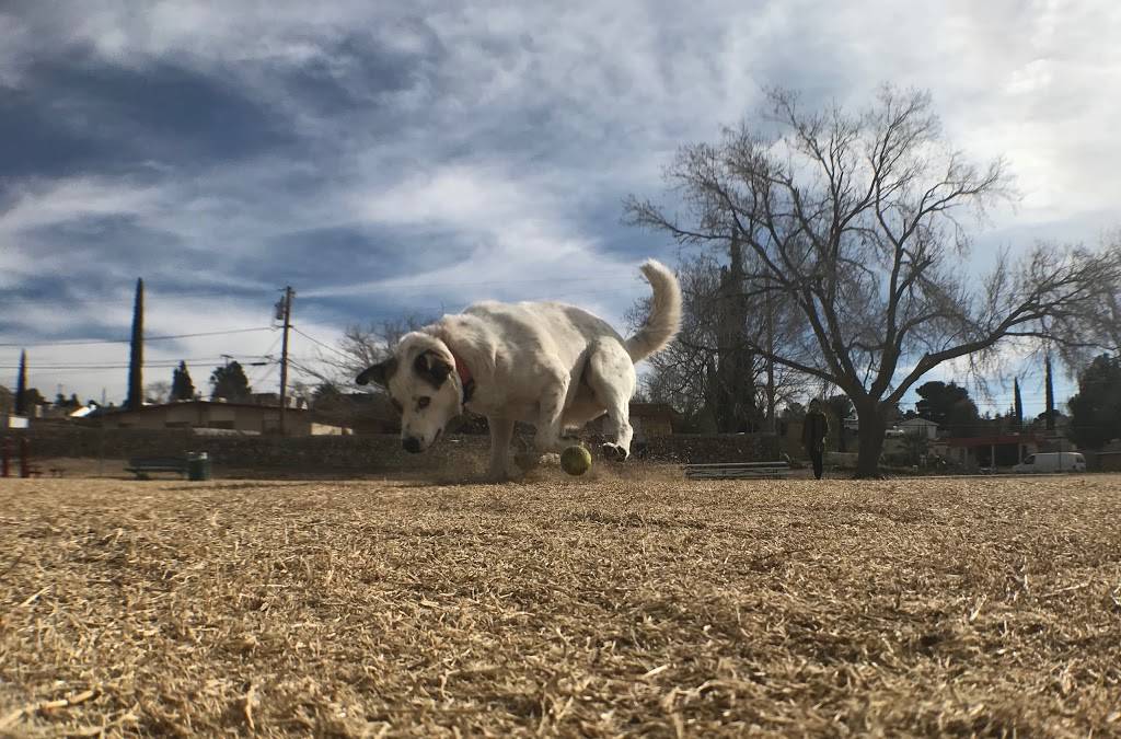 Alethea Park | 1007 Moore St, El Paso, TX 79902, USA | Phone: (915) 541-4331