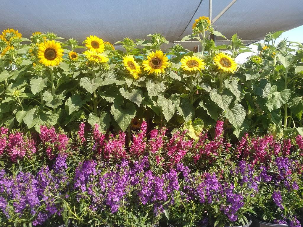 Green Acres Nursery & Supply | Sacramento | 8501 Jackson Rd, Sacramento, CA 95826 | Phone: (916) 381-1625