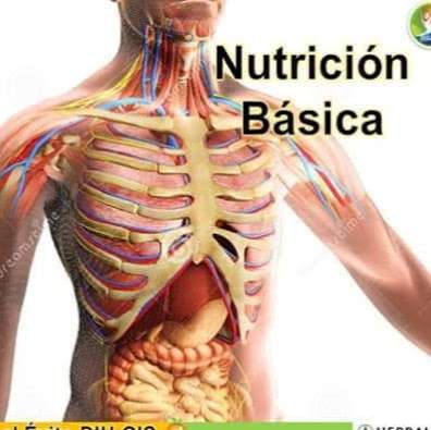 herbalife clubnutricion green star | 10950 Bissonnet St suite a-270, Houston, TX 77099, USA | Phone: (832) 439-8732