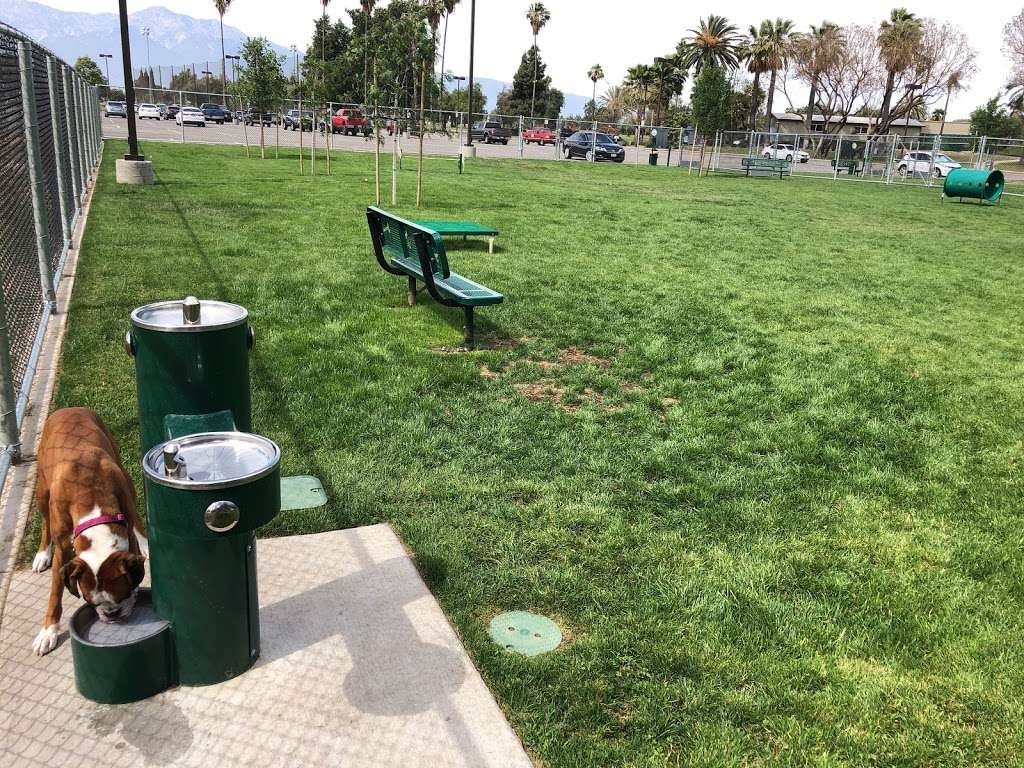 Dogs Park | Ontario, CA 91761, USA