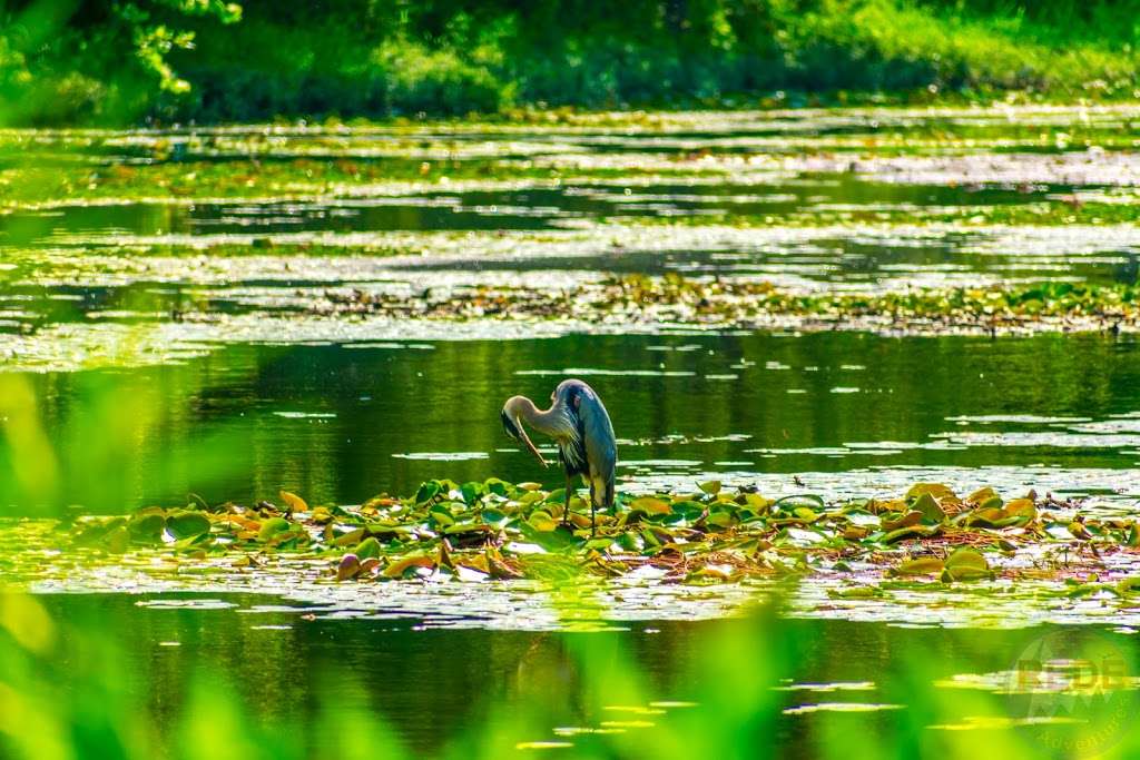 Pertle Springs Lake | Pertle Dr, Warrensburg, MO 64093, USA