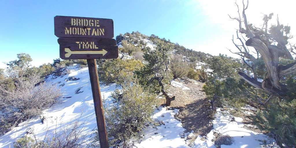 Bridge Mountain Trail parking | Las Vegas, NV 89161, USA | Phone: (702) 515-5350