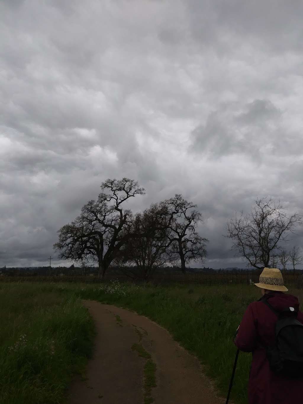 North Kelly Farm Trailhead | 5420 Occidental Rd, Santa Rosa, CA 95401, USA | Phone: (707) 433-1625