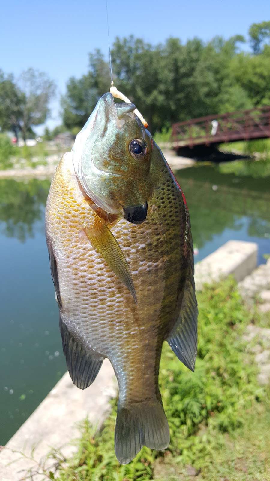 Raccoon Grove Nature Preserve | 5851 W Pauling Rd, Monee, IL 60449, USA | Phone: (815) 727-8700