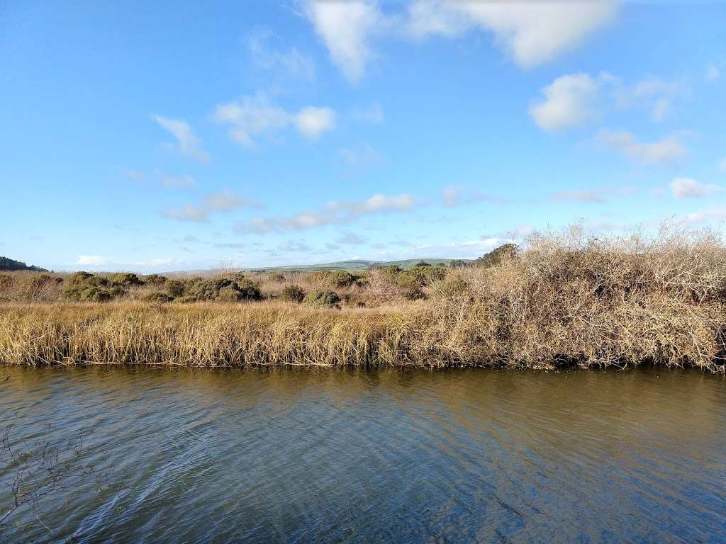 White House Pool Park | Sir Francis Drake Blvd, Point Reyes Station, CA 94956, USA | Phone: (415) 473-6387