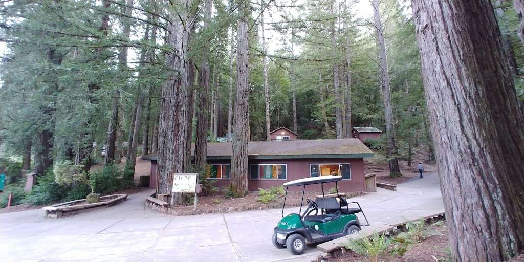 Westminster Woods | 6510 Bohemian Hwy, Occidental, CA 95465, USA | Phone: (707) 874-2426