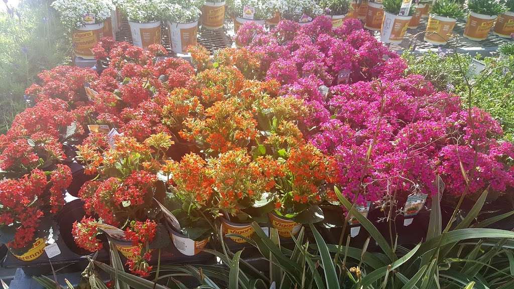 Garden Center at The Home Depot | 1177 Great Mall Dr, Milpitas, CA 95035, USA | Phone: (408) 942-7301