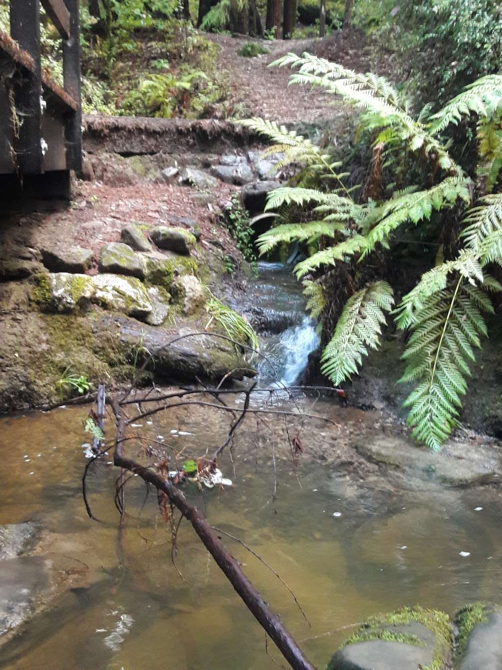 Sempervirens Falls | Sempervirens Falls Trail, Boulder Creek, CA 95006