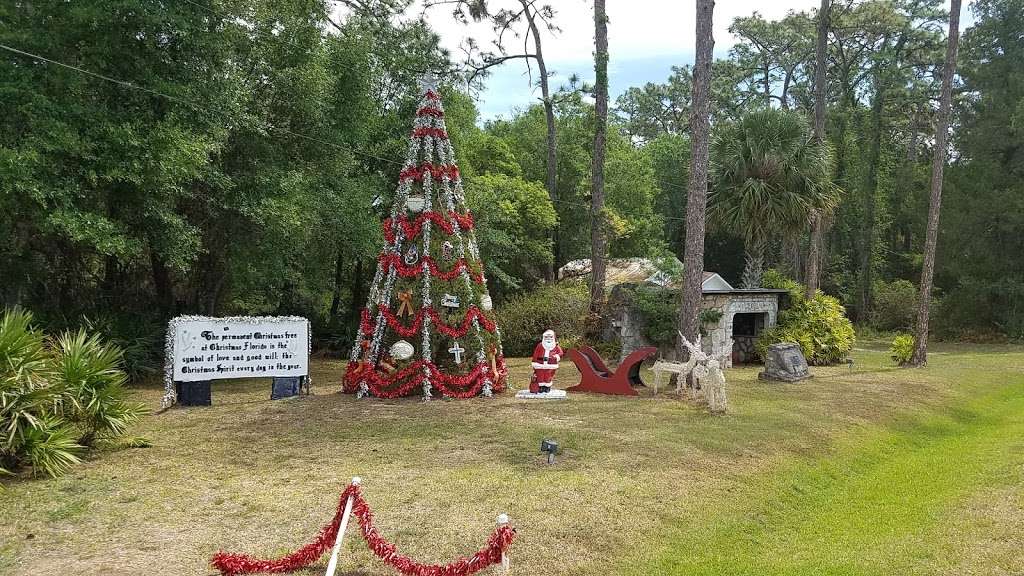 Captain Freds Outback Airboat Rides | ST. Johns River, Christmas, FL 32709 | Phone: (321) 332-5402