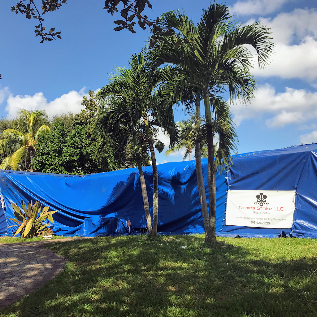 Termite Strike LLC | 2716 NW 56th St, Miami, FL 33142, USA | Phone: (305) 926-5825