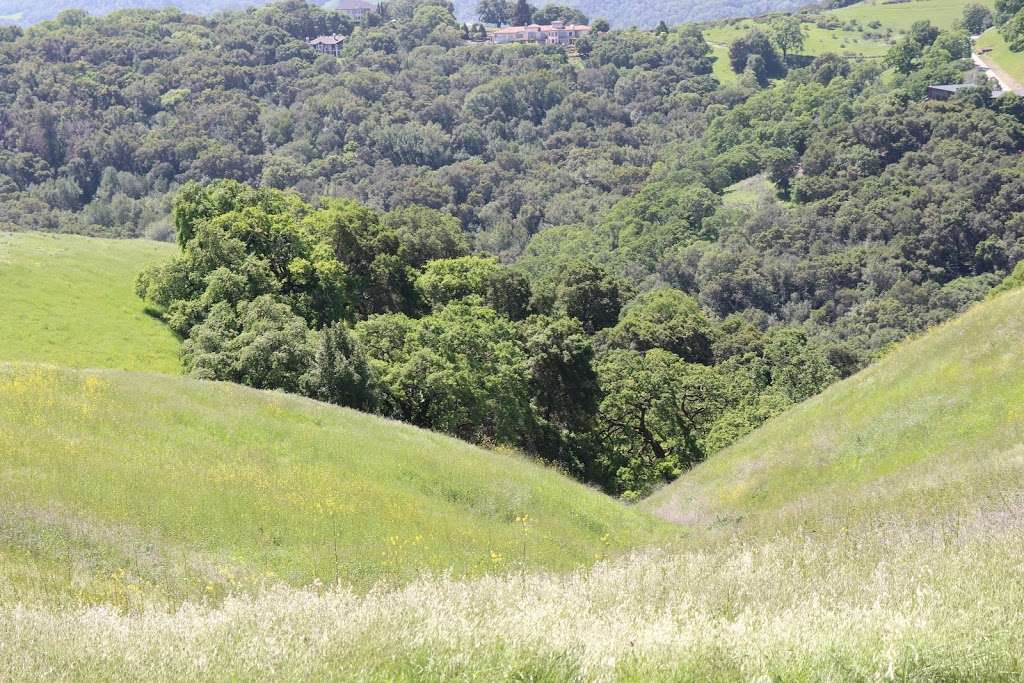 Mount Wanda Trailhead | Cal Riding & Hiking Trail, Martinez, CA 94553, USA