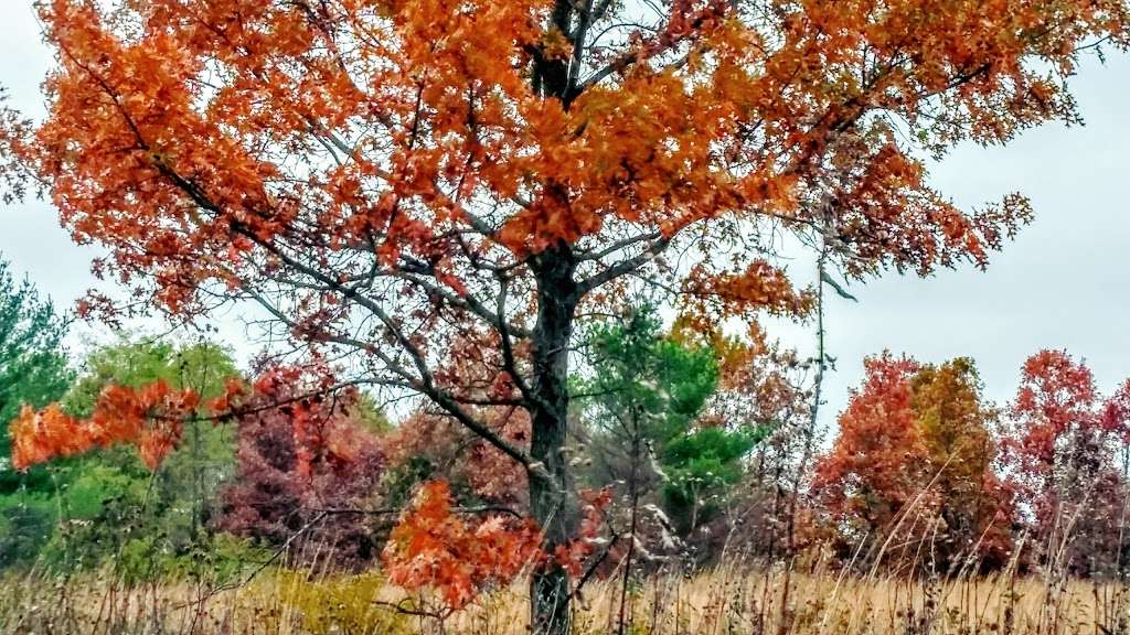 Cuba Marsh Forest Preserve | 24205 W Cuba Rd, Deer Park, IL 60010, USA | Phone: (847) 367-6640