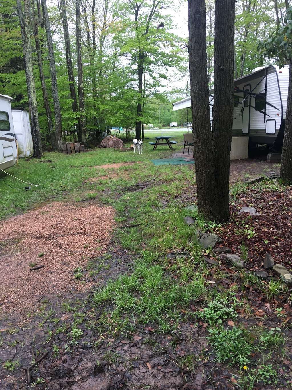 Secluded Acres Campground | 150 Martys Main St, Lake Ariel, PA 18436, USA | Phone: (570) 226-9959