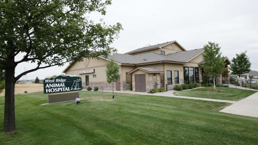 West Ridge Animal Hospital | 8235 W 20th St, Greeley, CO 80634, USA | Phone: (970) 330-7283