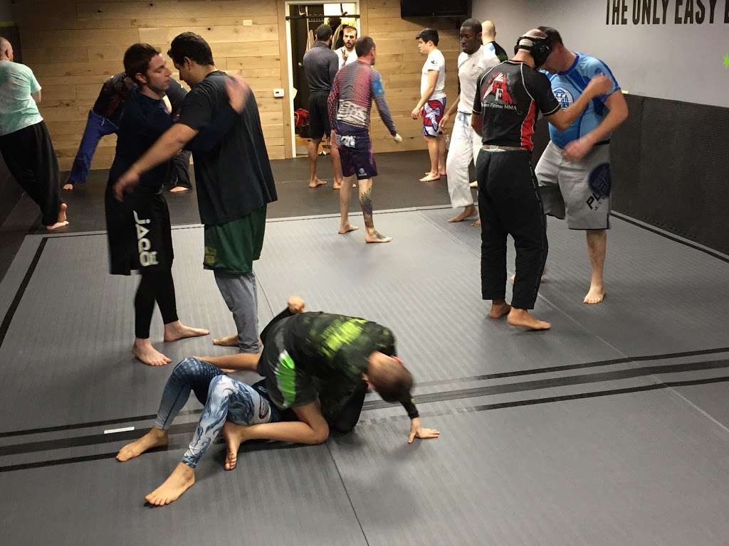 10th Planet Jiu-Jitsu Chicago | 6154 W Higgins Ave, Chicago, IL 60630 | Phone: (312) 857-4493