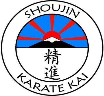 Docklands Shoujin Karate Club | East London gymnastics centre, 1 Triumph Rd, London E6 5LW, UK | Phone: 07864 869386