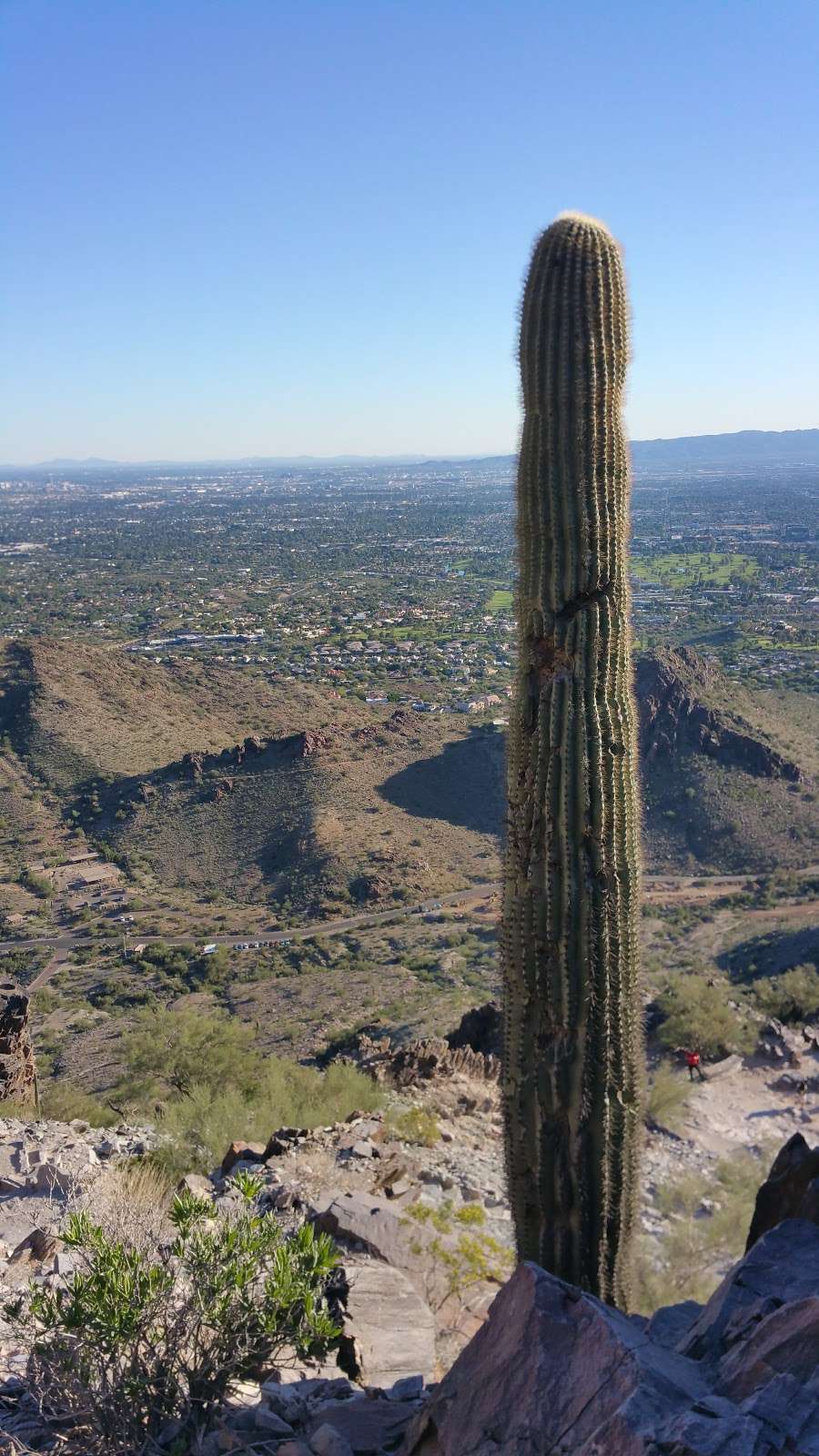 Piestewa Peak Park | 2701 E Squaw Peak Dr, Phoenix, AZ 85016, USA | Phone: (602) 261-8318