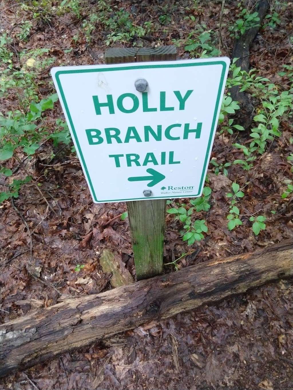 Holly Branch Trail | 0264 03 0076, Reston, VA 20191, USA