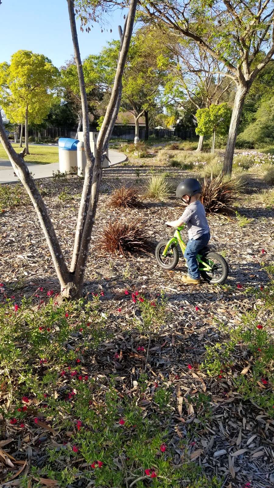 Hidden Canyon Community Park | 2685 Vancouver St, Carlsbad, CA 92010, USA | Phone: (760) 602-4684