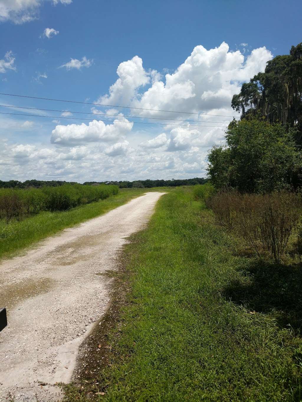 Itchepackesassa Creek Wetland | 1285 Walker Rd, Lakeland, FL 33810, USA | Phone: (863) 534-7377