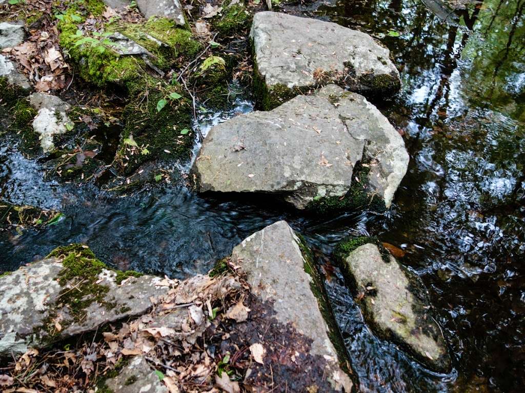 Hiking Terrace Pond Parking | Bearfort Waters, Hewitt, NJ 07421, USA