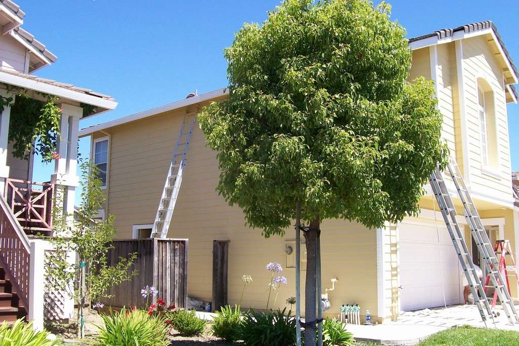 Preferred Painting | 3306 Arcadian Dr, Castro Valley, CA 94546, USA | Phone: (510) 728-7606