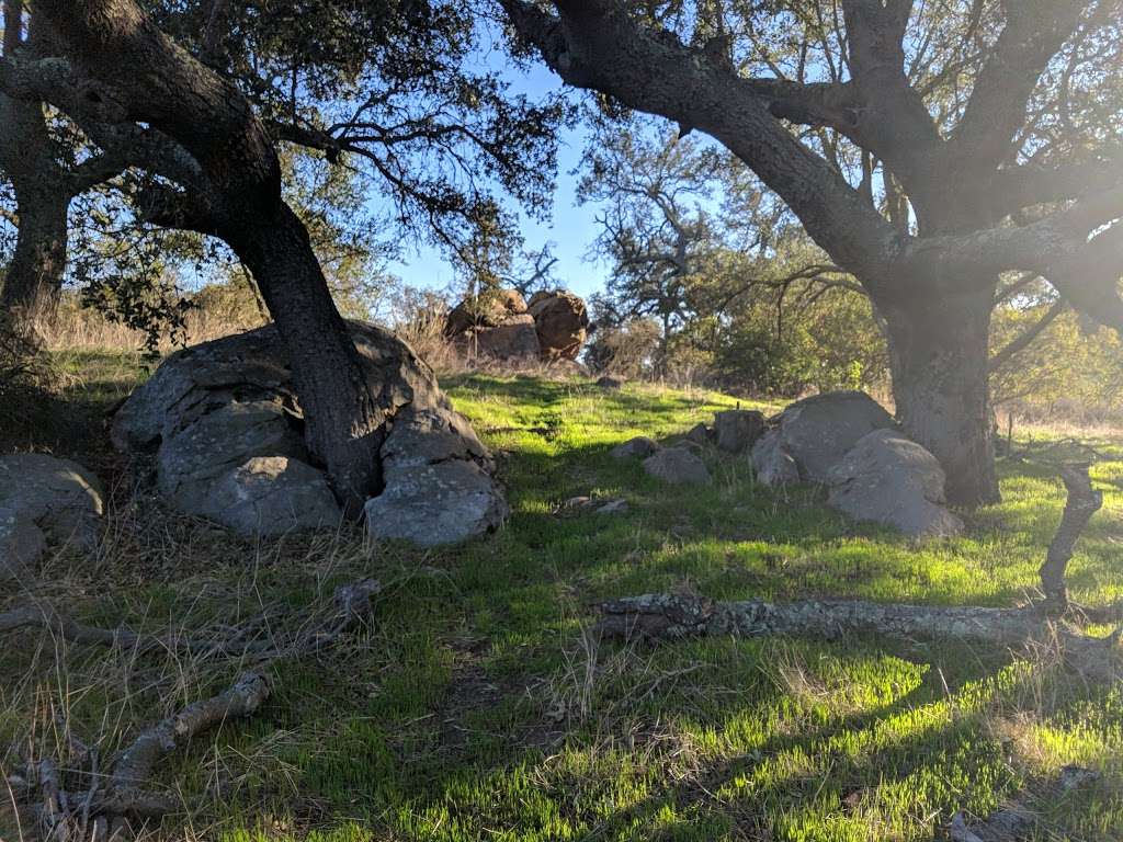 Charmlee Wilderness Park | 2577 Encinal Canyon Rd, Malibu, CA 90265, USA | Phone: (310) 457-7247