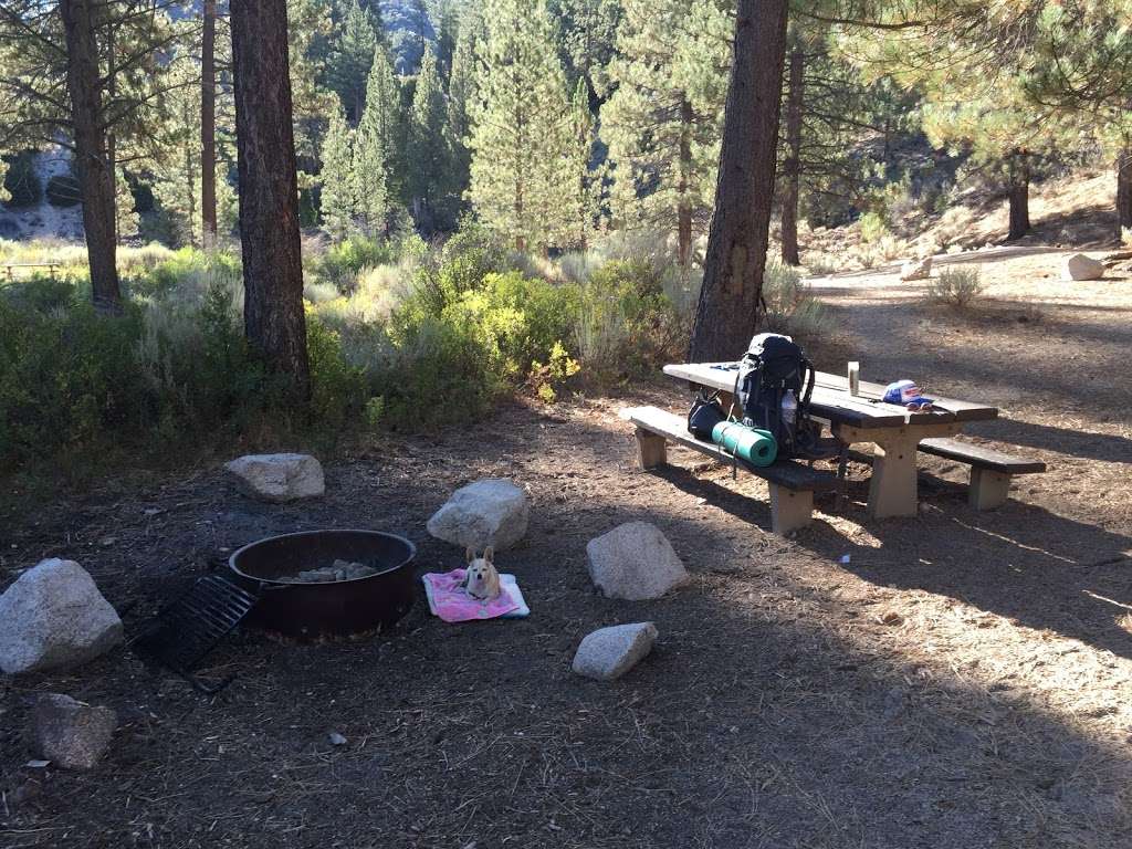 Sulphur Springs Campground | Pearblossom, CA 93553